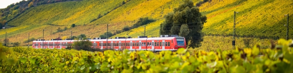 A train runs through autumnal vineyards