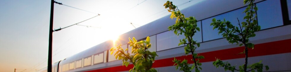ICE 1 Baureihe 401 von Berlin nach M�nchen im Gegenlicht