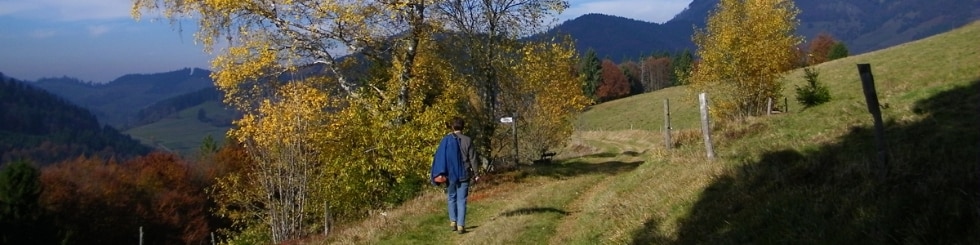 Panorama, Kleines Wiesental