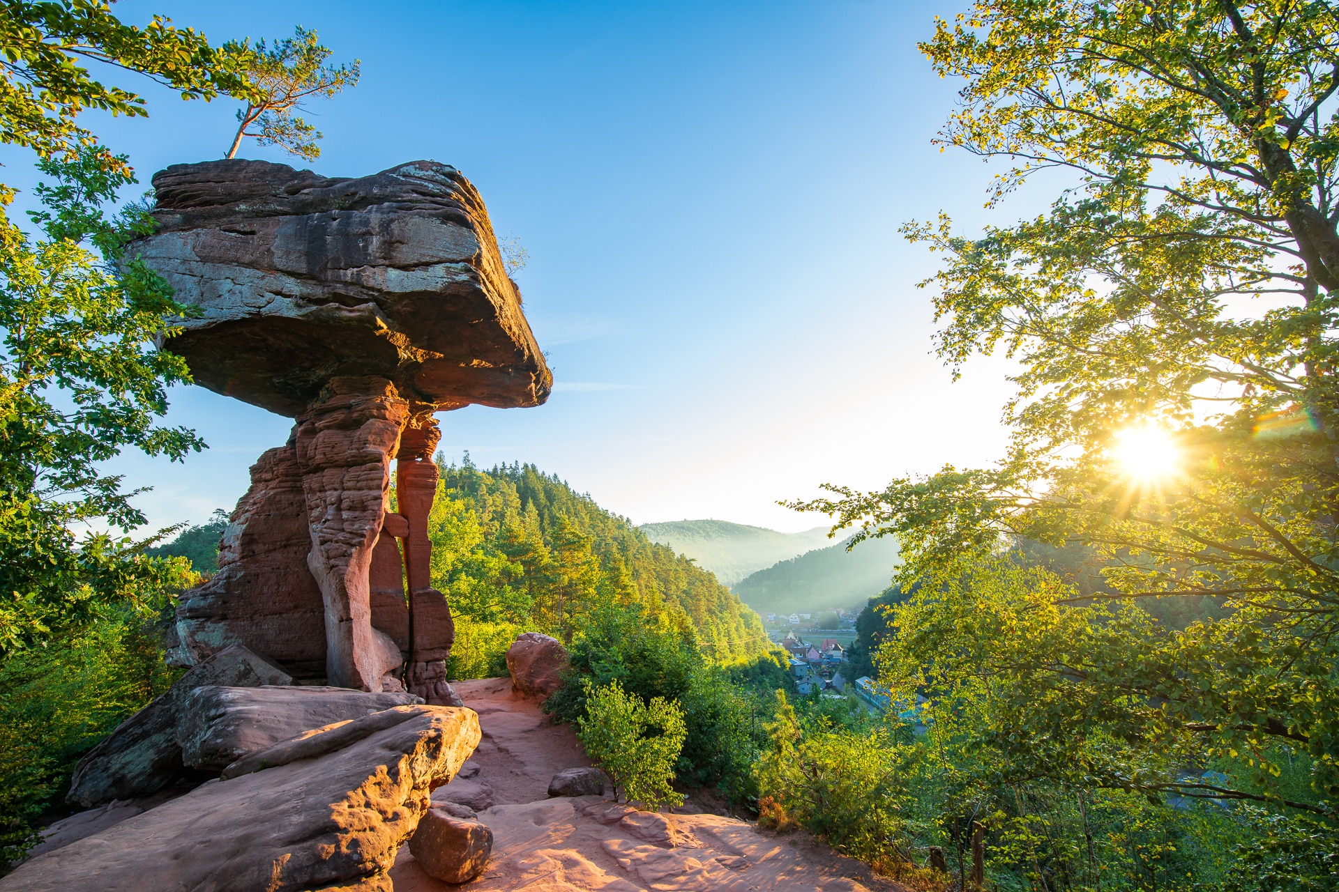 Mit der Bahn in den Pfälzerwald