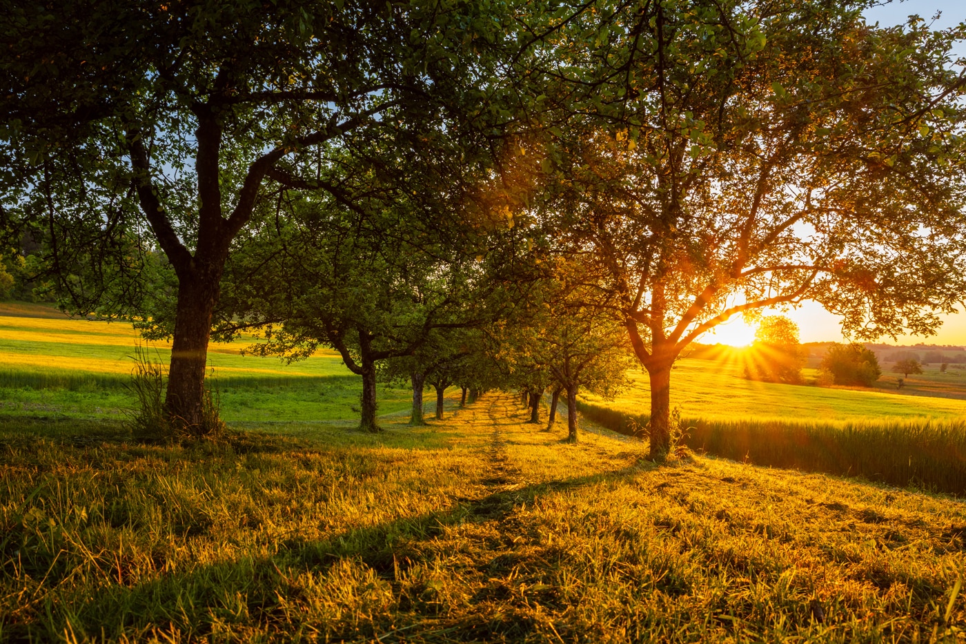 Mit der Bahn in den Bliesgau