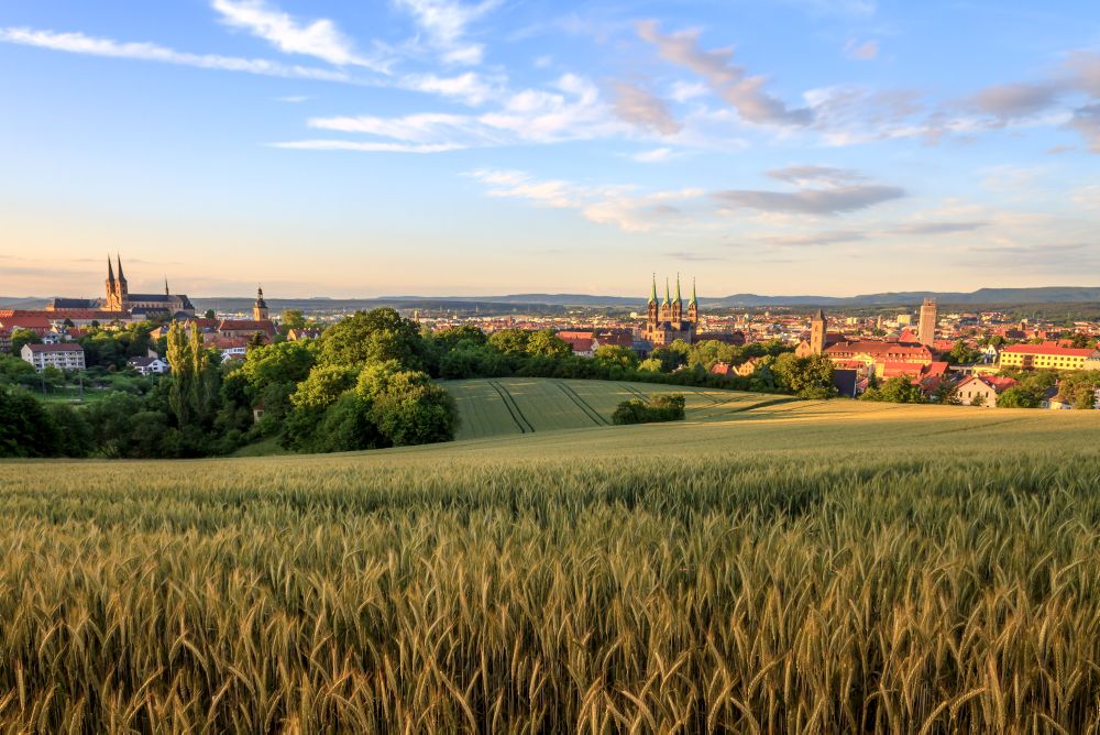 Mit dem MainSpessartExpress günstig bis nach Frankfurt