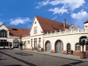 Innenhof Schloß Wachenheim