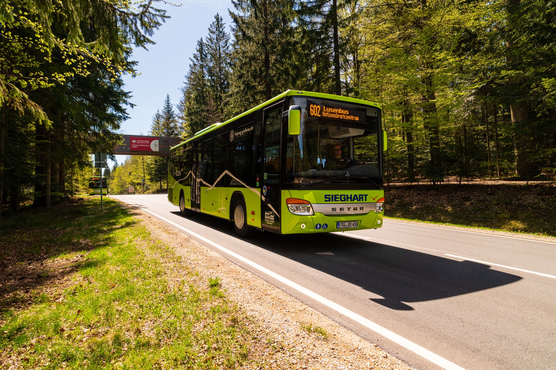 Grüner Igelbus im Bayerischen Wald