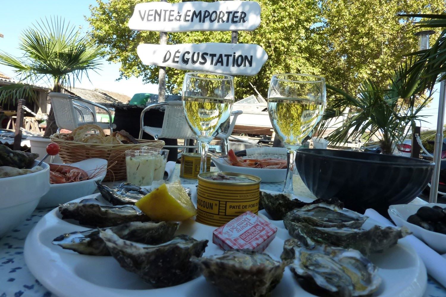 Mit der Bahn nach Bordeaux