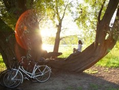 Pause beim Radfahren: Rast auf einem Baum